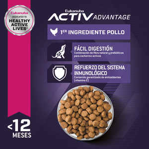 Eukanuba Alimento Seco para Cachorro Raza Grande Receta Pollo, 2.2 kg