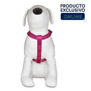 Good2Go Arn�s Confort Ajuste Americano Color Rosa para Perro, Chico