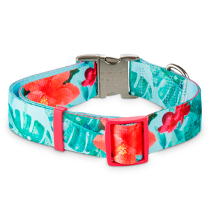 Good2Go Collar Azul Cielo Dise�o Rosas de China con Broche Plateado para Perro, X-Grande/XX-Grande