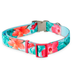 Good2Go Collar Azul Cielo Dise�o Rosas de China con Broche Plateado para Perro, XX-Grande/XXX-Grande