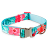 Good2Go Collar Azul Cielo Dise�o Rosas de China con Broche Plateado para Perro, XX-Grande/XXX-Grande