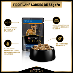 Pro Plan Alimento H�medo para Perro Senior Receta Pollo en Salsa, 85 g