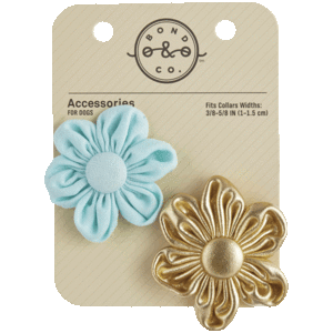 Bond Broche para Perro de Flores Color Aqua con Dorado 2pz   Universal