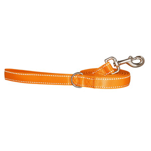 Good2Go Correa Acojinada Reflejante Color Naranja Neon con Herraje Met�lico para Perro, 1.8m