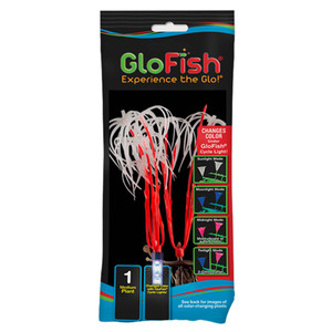 GloFish Planta Color Change Orange MED