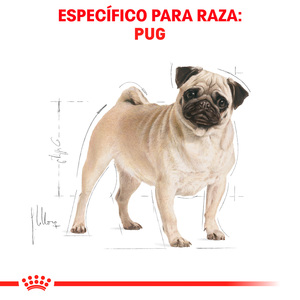 Royal Canin Alimento Seco para perro Adulto Raza Pug Receta Pollo, 1.1 kg