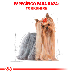 Royal Canin Alimento Seco para Perro Adulto Raza Yorkshire Terrier, 4.5 kg