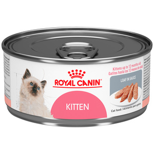 Royal Canin Kitten Alimento H�medo para Gatito Receta Pollo, 165 g