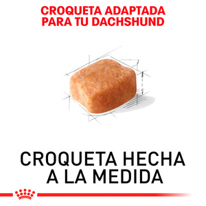 Royal Canin Alimento Seco para Perro Adulto Raza Dachshund Receta Pollo, 4.5 kg