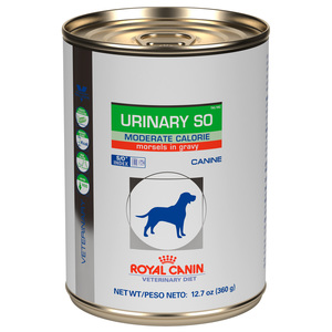 Royal Canin Prescripci�n Alimento H�medo para Tracto Urinario Calorias Moderadas para Perro Adulto, 368 g