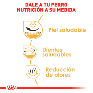 Royal Canin Alimento Seco para Perro Adulto Raza Shih Tzu, 4.5 kg