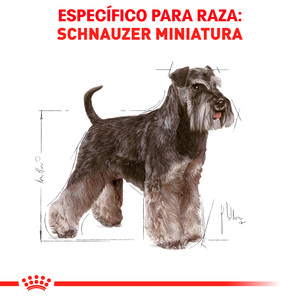 Royal Canin Alimento Seco para perro Adulto Raza Schnauzer Miniatura Receta Pollo, 4.5 kg