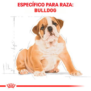 Royal Canin Alimento Seco para Cachorro Raza Bulldog Receta Pollo, 2.7 kg