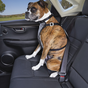 Good2Go Arn�s de Seguridad para Veh�culo para Perro, Grande