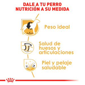 Royal Canin Alimento Seco para perro Adulto Raza Labrador Retriever, 13.6 kg