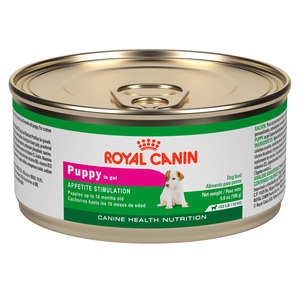 Royal Canin Alimento H�medo para Cachorro Raza Peque�a Receta Pollo, 165 g