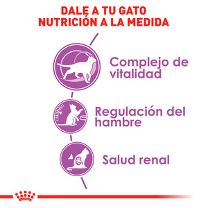 Royal Canin Control de Apetito Alimento Seco para Gato Senior Esterilizado Receta Pollo, 2.7 kg