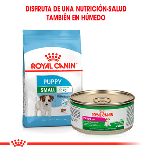 Royal Canin Alimento Seco para Cachorro Raza Peque�a Receta Pollo, 1.1 kg