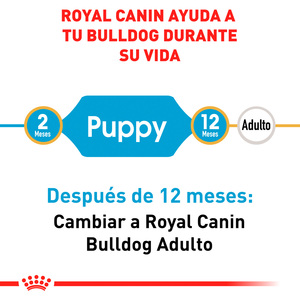 Royal Canin Alimento Seco para Cachorro Raza Bulldog Receta Pollo, 2.7 kg