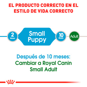 Royal Canin Alimento Seco para Cachorro Raza Peque�a Receta Pollo, 1.1 kg