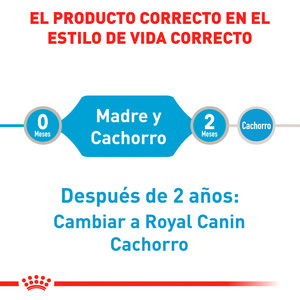 Royal Canin Starter Mother & Babydog Alimento Húmedo para Perro en Lactancia y Cachorro, 145 g