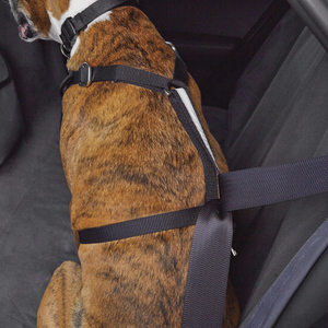 Good2Go Arn�s de Seguridad para Veh�culo para Perro, Grande