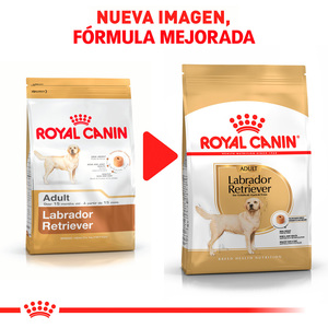 Royal Canin Alimento Seco para perro Adulto Raza Labrador Retriever Receta Pollo, 13.6 kg