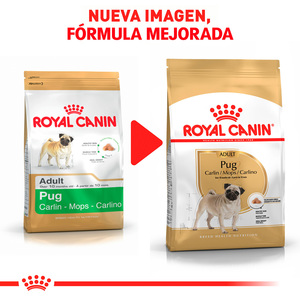 Royal Canin Alimento Seco para perro Adulto Raza Pug Receta Pollo, 4.5 kg