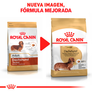 Royal Canin Alimento Seco para Perro Adulto Raza Dachshund Receta Pollo, 4.5 kg
