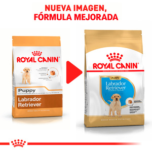 Royal Canin Alimento Seco para Cachorro Raza Labrador Retriever Receta Pollo, 13.6 kg