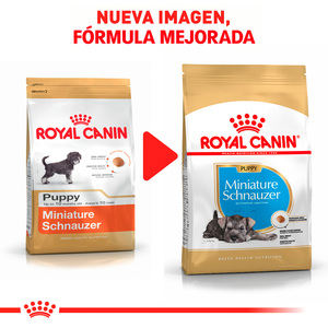 Royal Canin Alimento Seco para Cachorro Raza Schnauzer Miniatura Receta Pollo, 1.1 kg