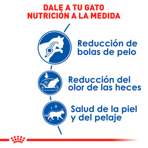 Royal Canin Alimento Seco para Gato Adulto de Interior Receta Pollo, 1.3 kg