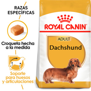 Royal Canin Alimento Seco para Perro Adulto Raza Dachshund Receta Pollo, 4.5 kg