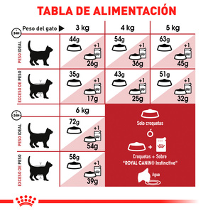 Royal Canin Fit And Active Alimento Seco para Gato Adulto de Exterior Receta Pollo, 3.1 kg