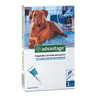 Advantage Pipeta Antipulgas de R�pida Acci�n para Perro Adulto, m�s de 25 kg de Peso