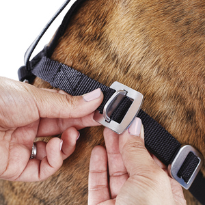 Good2Go Arn�s de Seguridad para Veh�culo para Perro, Grande