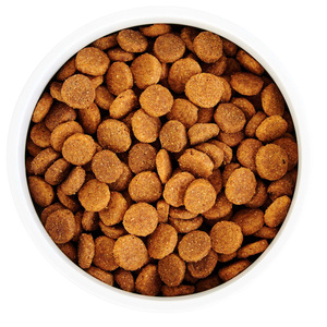 WholeHearted Healthy Benefits Alimento Natural para Perro Adulto Cuidado de Piel/Pelo Receta Salmón y Chícharo, 11.4 kg