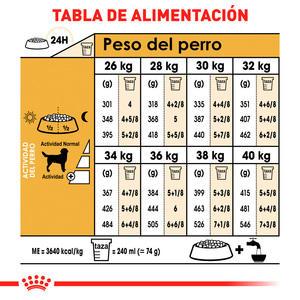 Royal Canin Alimento Seco para perro Adulto Raza Labrador Retriever, 13.6 kg