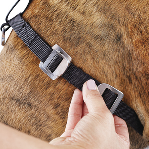 Good2Go Arn�s de Seguridad para Veh�culo para Perro, Grande