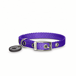 Good 2 Go Collar Nylon con hebilla  Morado Grande An:1.9 cm Largo:41 - 51 cm