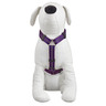 Good2Go Arn�s Reflejante Ajuste Romano Color Morado para Perro, Chico