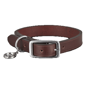 Bond & Co Collar de Cuero Color Caoba con Hebilla para Perro, Mediano