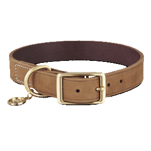 Bond Collar para Perro Café Ocre Liso   GD:45 CM