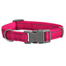 Good2Go Collar Acojinado Reflejante Color Rosa Neon con Broche Gris para Perro, Chico