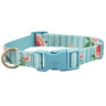 Good2Go Collar Azul Cielo Dise�o Flores Rosas con Broche Azul para Perro, Chico