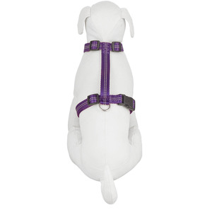 Good2Go Arn�s Reflejante Ajuste Romano Color Morado para Perro, Chico