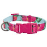 Good2Go Collar Azul Cielo Dise�o Rosas de China con Broche Fucsia para Perro, Chico