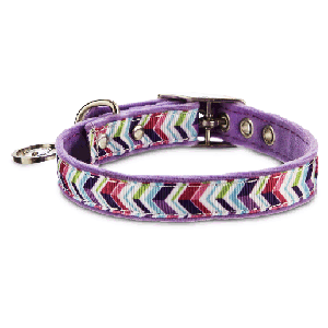 Bond & Co Collar Morado con Dise�o ZigZag y Hebilla Met�lica para Perro, X-Chico / Chico