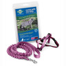 Petsafe Arn�s y Correa Come With Me Kitty Color Rosa para Gato, Mediano