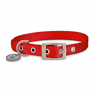 Good2Go Collar de Nylon Color Rojo con Hebilla para Perro, Mediano